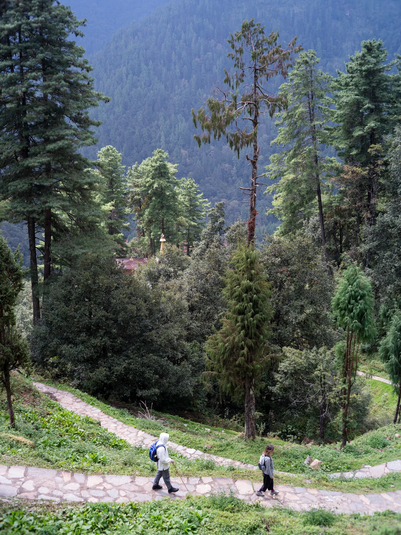 Бутан: деревни Лая и The Best of Bhutan, кадр 19