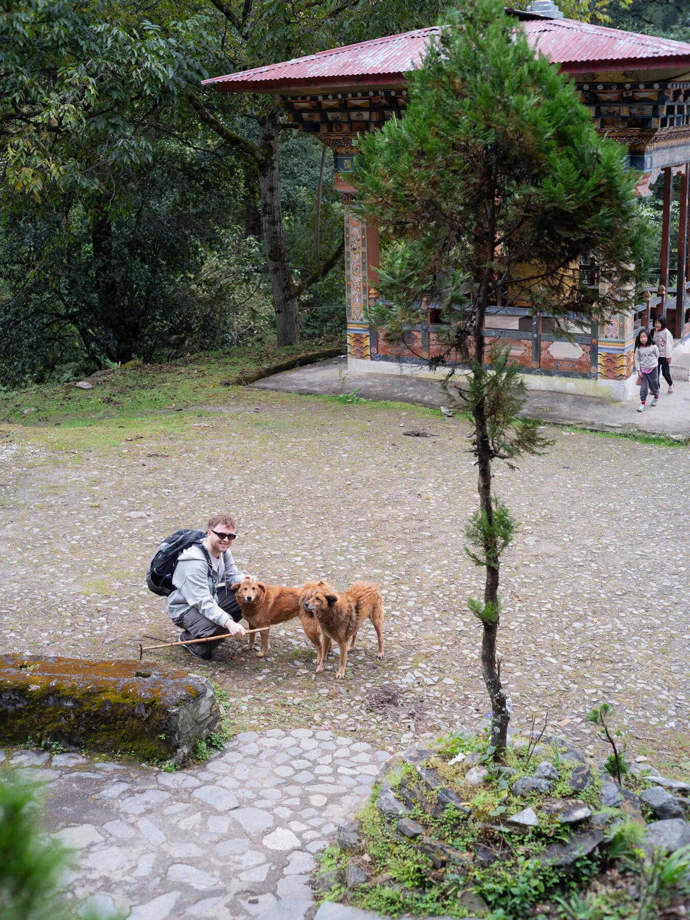 Бутан: деревни Лая и The Best of Bhutan, кадр 27
