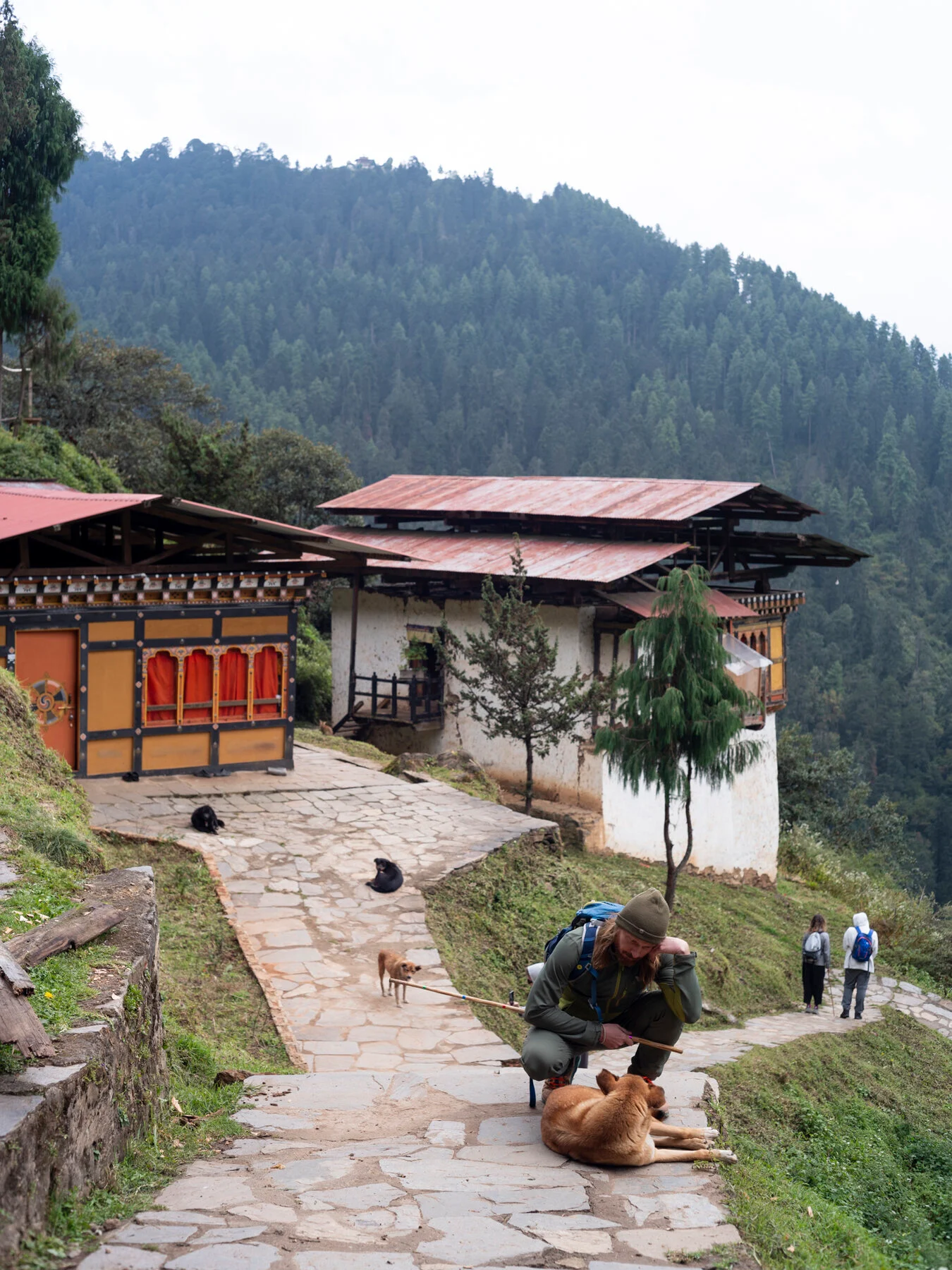 Бутан: деревни Лая и The Best of Bhutan, кадр 47