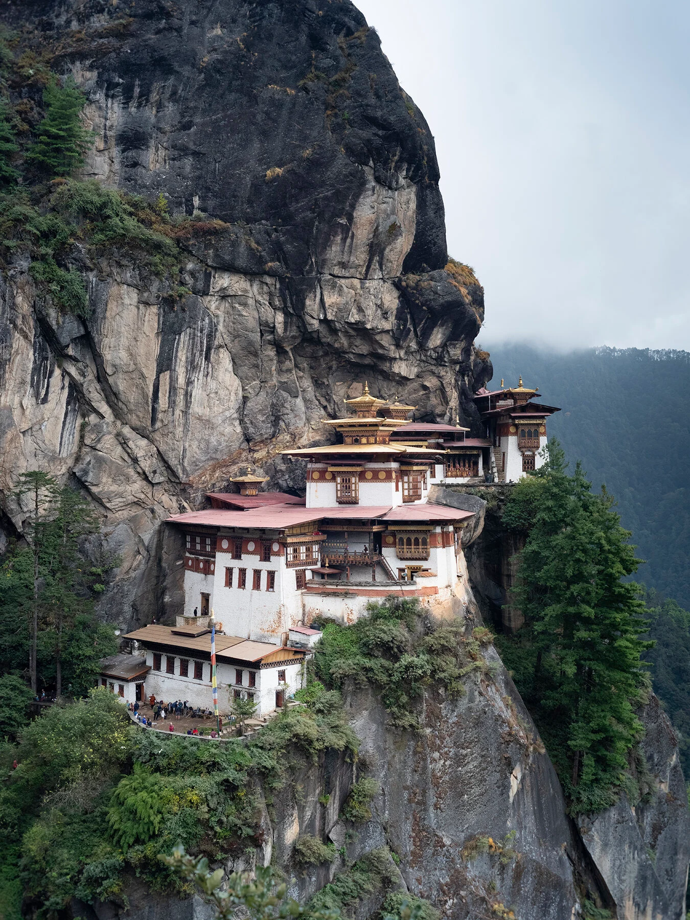 Бутан: деревни Лая и The Best of Bhutan, кадр 50